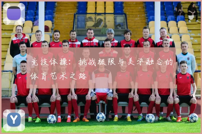 竞技体操：挑战极限与美学融合的体育艺术之路