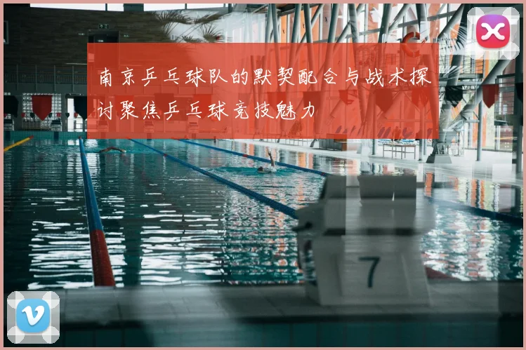 南京乒乓球队的默契配合与战术探讨聚焦乒乓球竞技魅力