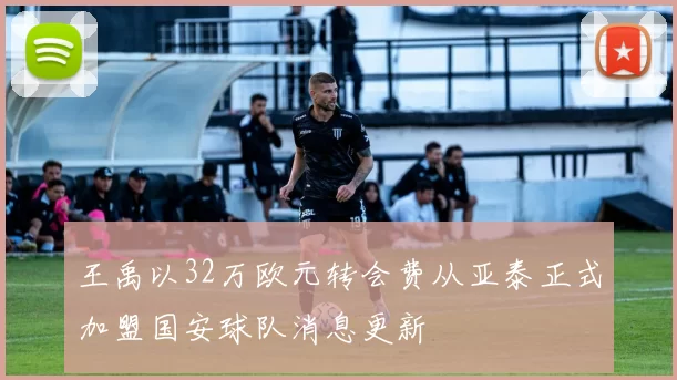 王禹以32万欧元转会费从亚泰正式加盟国安球队消息更新