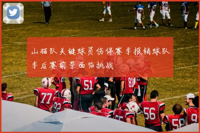 山猫队关键球员伤停赛季报销球队季后赛前景面临挑战