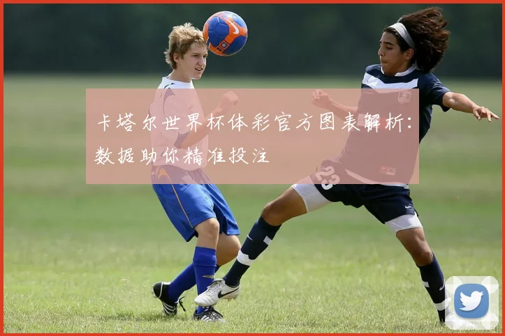 卡塔尔世界杯体彩官方图表解析:数据助你精准投注