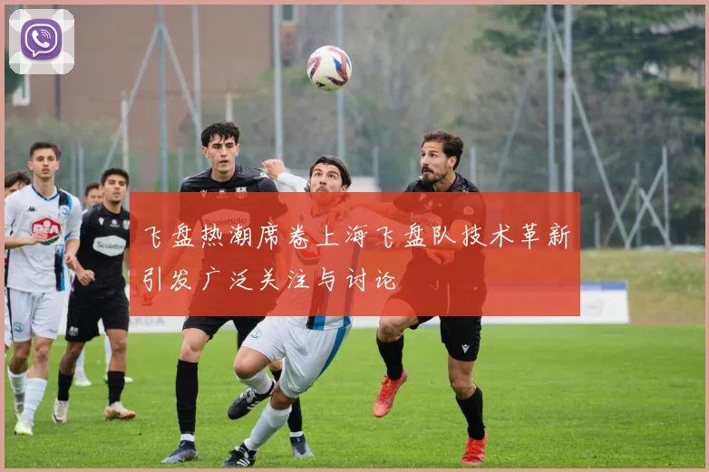 飞盘热潮席卷上海飞盘队技术革新引发广泛关注与讨论