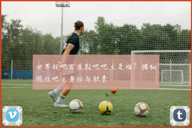 世界杯吧百度贴吧吧主是谁?揭秘现任吧主身份与职责