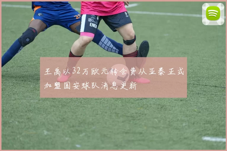 王禹以32万欧元转会费从亚泰正式加盟国安球队消息更新