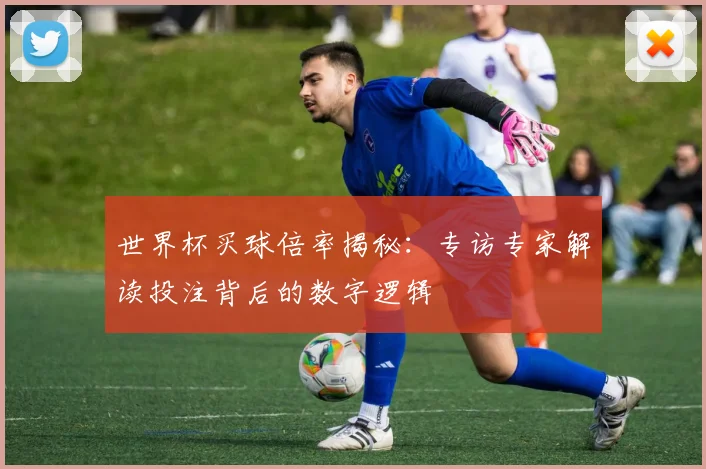 世界杯买球倍率揭秘:专访专家解读投注背后的数字逻辑