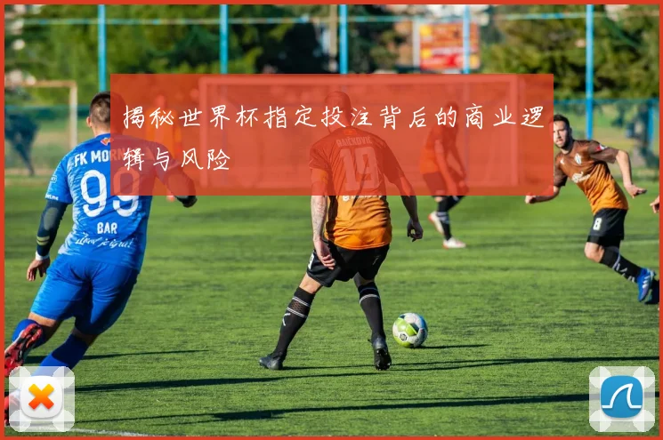 揭秘世界杯指定投注背后的商业逻辑与风险