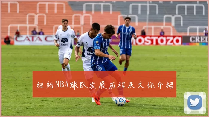 纽约NBA球队发展历程及文化介绍