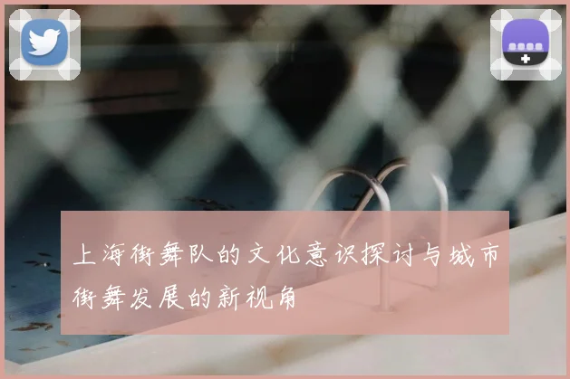 上海街舞队的文化意识探讨与城市街舞发展的新视角