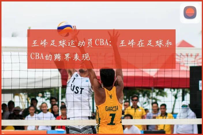 王峰足球运动员CBA：王峰在足球和CBA的跨界表现