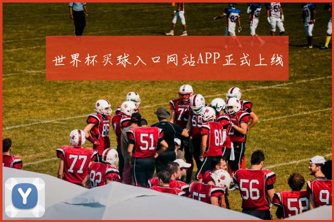 世界杯买球入口网站APP正式上线