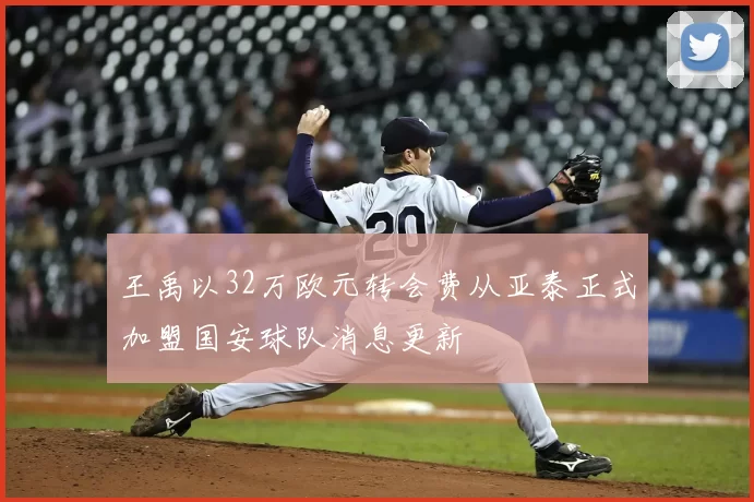 王禹以32万欧元转会费从亚泰正式加盟国安球队消息更新