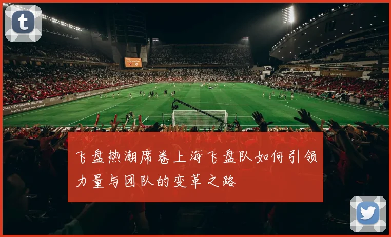 飞盘热潮席卷上海飞盘队如何引领力量与团队的变革之路