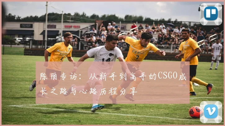 陈丽专访:从新手到高手的CSGO成长之路与心路历程分享