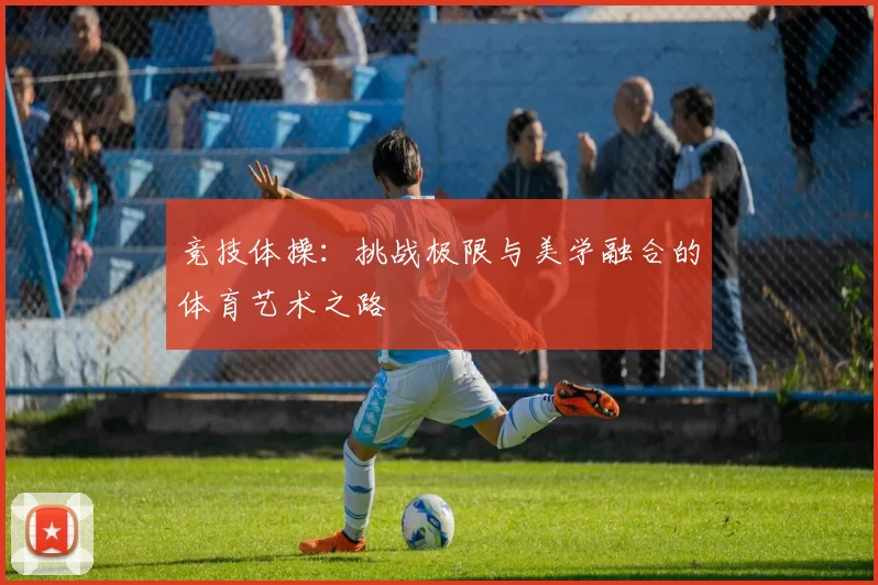 竞技体操：挑战极限与美学融合的体育艺术之路