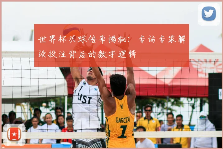世界杯买球倍率揭秘：专访专家解读投注背后的数字逻辑