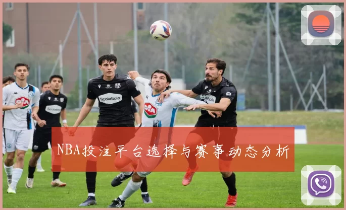 NBA投注平台选择与赛事动态分析