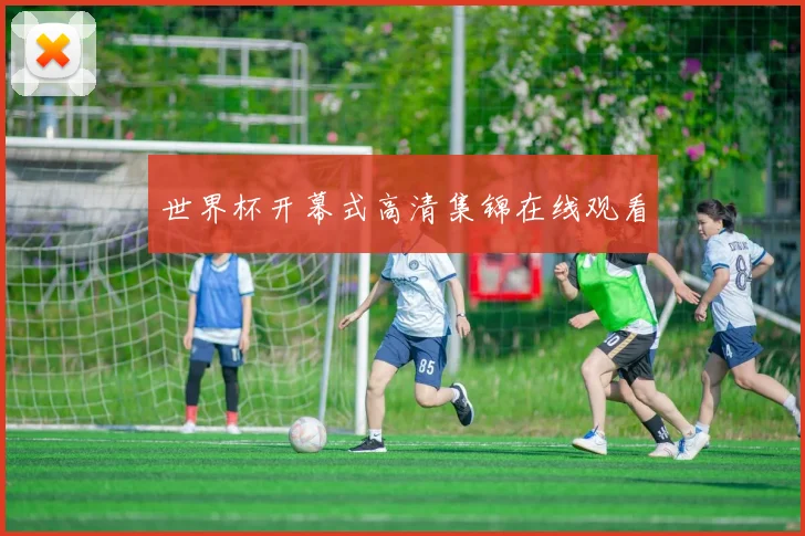世界杯开幕式高清集锦在线观看