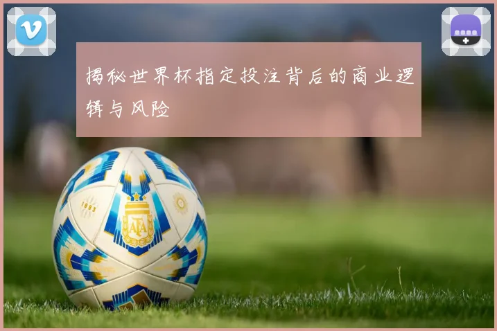 揭秘世界杯指定投注背后的商业逻辑与风险