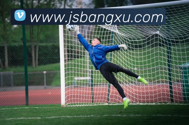 华体会体育平台生态图